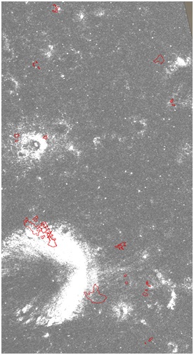 Определение каменистых областей на поверхности Луны с помощью радарных изображений: LRO MRF (5 м/пиксель)
